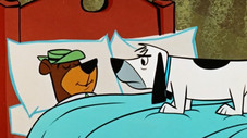Chien Chasseur de Renard (Yogi L'Ours)