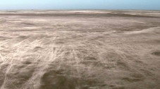 La science des migrations : Un film spécial consacré aux aspects scientifiques des migrations