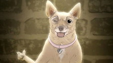 Episode Twenty: Dog.