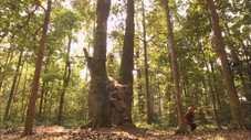 Épisode 36