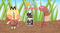 Épisode 614