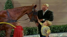 Un Cheval en Cadeau