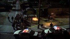 Nenhum ser humano envolvido