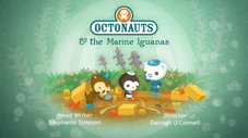 Les iguanes marins des Galapagos