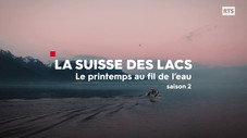 Le Printemps au fil de l'eau