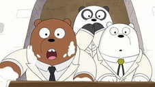 Best Bears