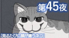 Épisode 45
