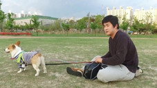 Épisode 246