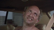 Log 35 -- Easy Bare Rider