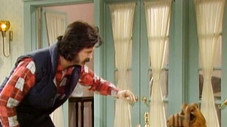 Suspicious Minds
