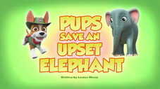 Pups Save an Upset Elephant