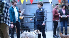Chiens et oies