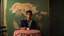 La Légende de Tennessee Moltisanti