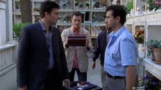 Épisode 11