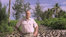 Épisode 8