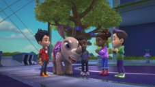 Épisode 13