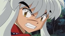 As primeiras lágrimas de Inuyasha