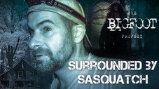 Épisode 1