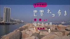 Épisode 48