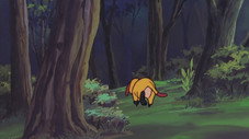 Épisode 11