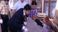 Épisode 391