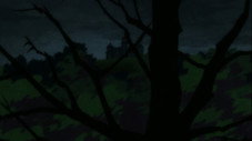 Nagomi no Osomatsu / Totoko no Yume