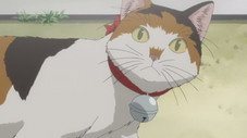 Épisode 22