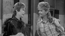 Épisode 36