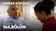 Épisode 164