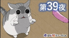 Épisode 39