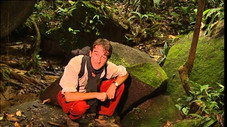 Au cœur de la forêt tropicale