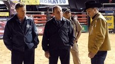 Episódio 11