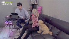 Épisode 10