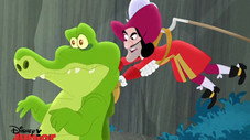 Quand le croco s'en mêle