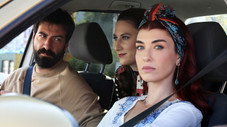 Épisode 7