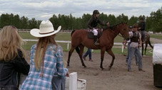 The Starting Gate