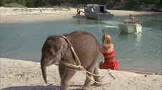Flipper et l'éléphant (2)