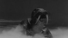 Épisode 27