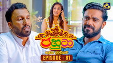 Épisode 81