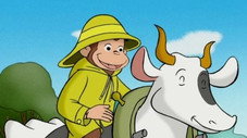 Épisode 29