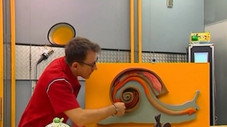 Les gastéropodes : opération escargot