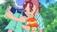 Sobreviva! Bell-mère, a mãe e família de Nami!