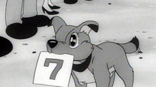 Épisode 5