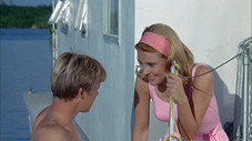 Amour et Sandy
