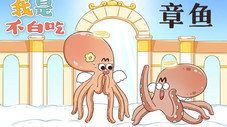 Épisode 213