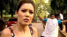 Épisode 233