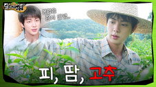 Épisode 9