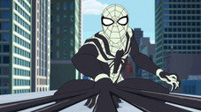 Web of Venom