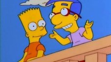 22 Curtas Sobre Springfield