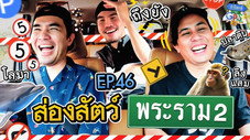 Épisode 46